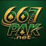 667pak game